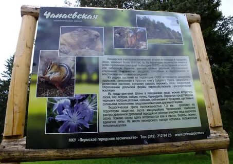Шереметьевская дубрава экотропа