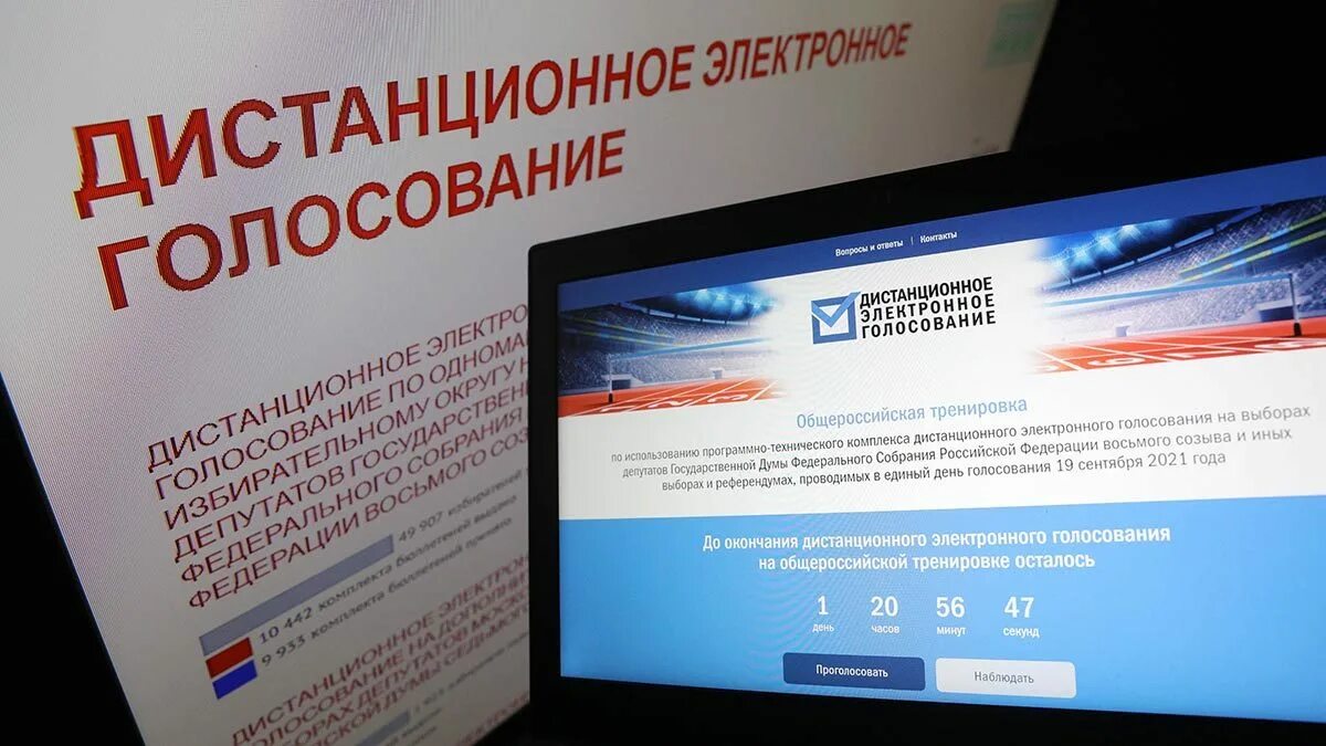Проголосовать дистанционно. Электронное голосование на выборах 2025. выборы в госдуму 2025 электронное голосование. дистанционное электронное голосование на выборах 2025 в госдуму. дистанционное электронное голосование 2025.