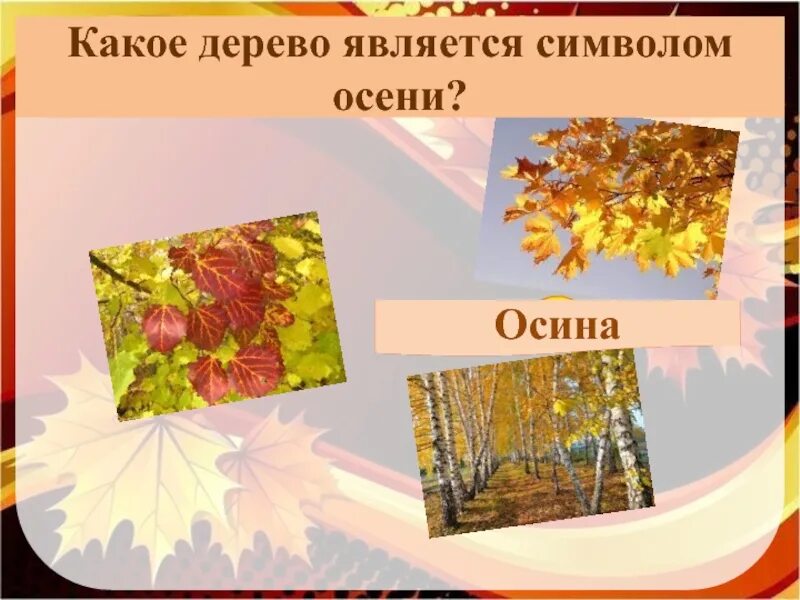 Какие деревья являются символами