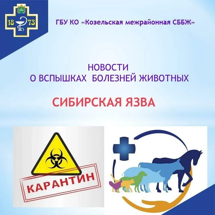 Ветклиника в саларьево. Сббж скобелевская. Ветклиника вао старый гай 10. Ул. Ветеринар гос клиника.