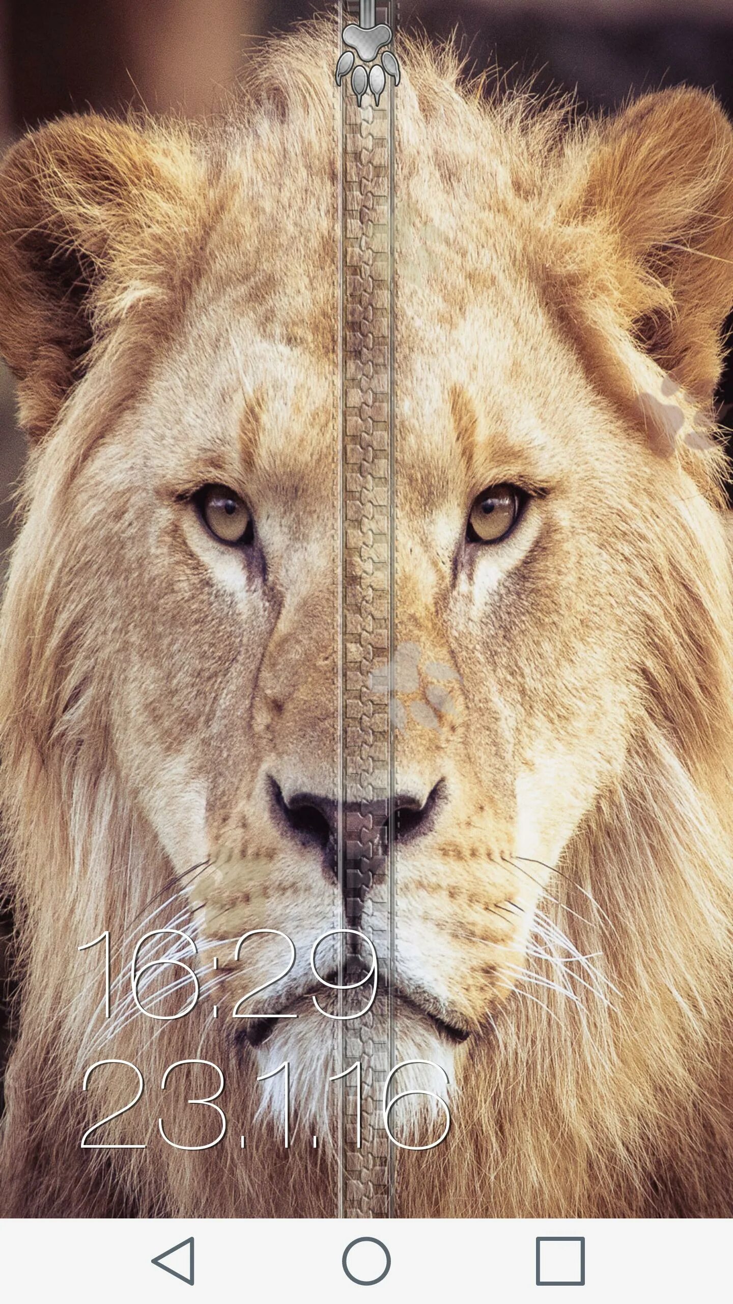 Огненный лев. Лев в синем пламени. Лев картинки. Молный лев фон. Заставка на телефон лев.