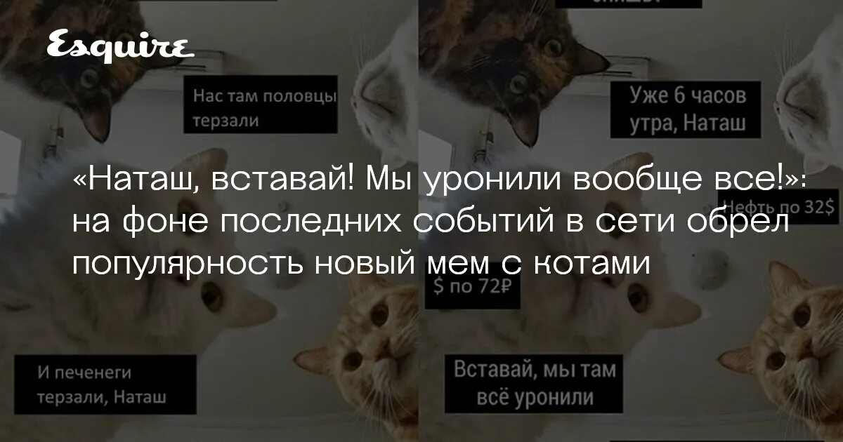 4 утра наташ вставай. Мем с котом это мы. Мем коты мы все уронили. Мем Наташа мы все уронили. Наташа мы все уронили коты.