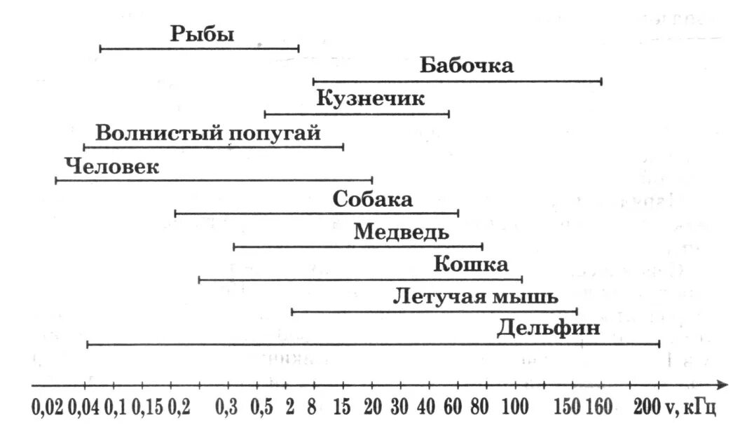 Звуковые диапазоны у животных и людей. Частота звуков воспринимаемая животными. Частоты воспринимаемые человеком. Диапазон звуков воспринимаемых животными.