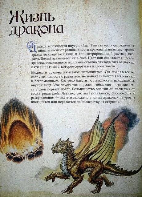 Драконоведение махаон. Книги про драконов для детей. Книга дракона сайт. Книга дракона сайт. Хозяева драконов книга.
