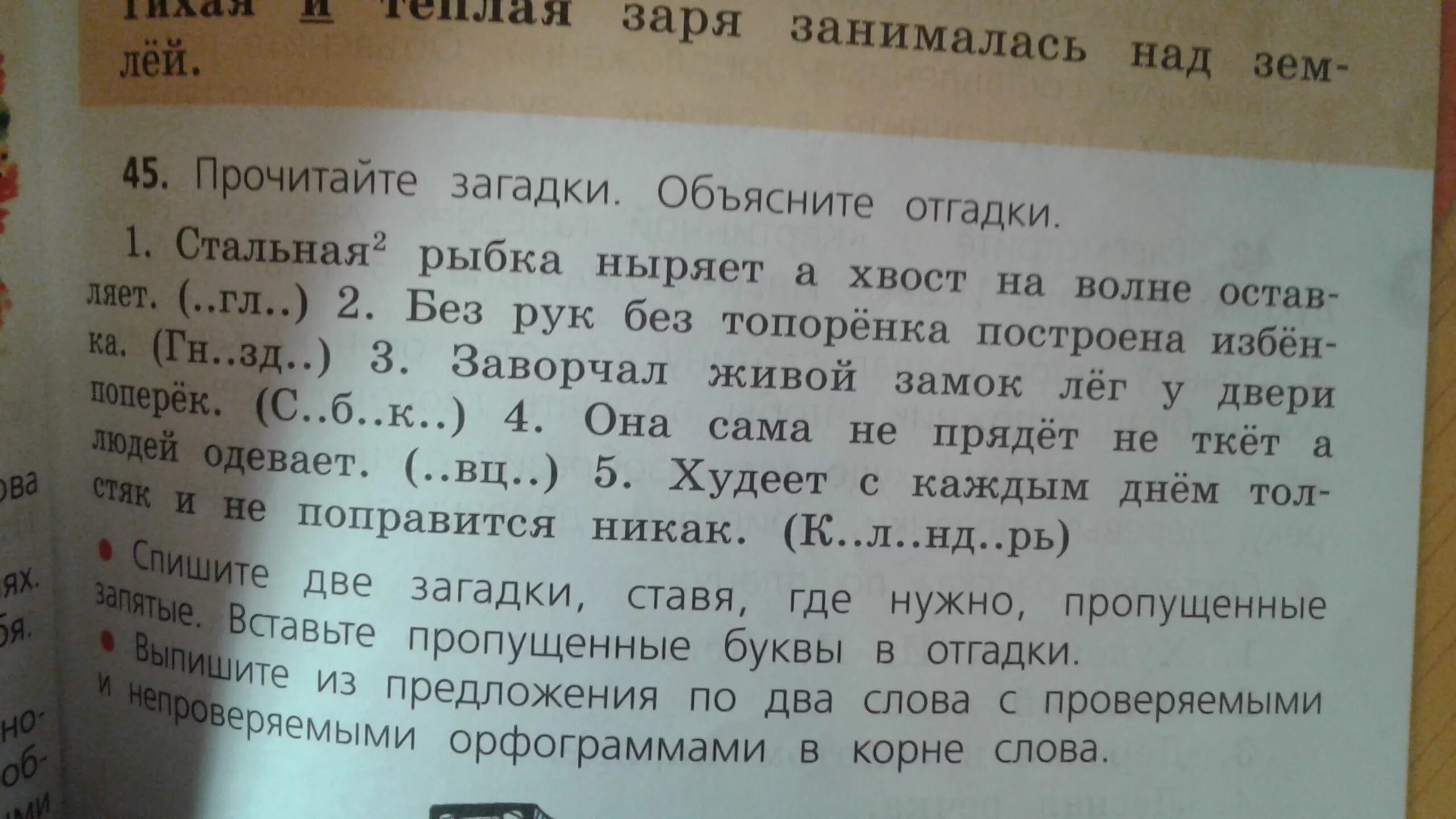 Слова с двумя членами. Загадки и отгадки. Стальная рыбка ныряет а хвост. Прочитайте загадки вставьте пропущенные буквы. Загадка рыбка ныряет стальная на хвост.