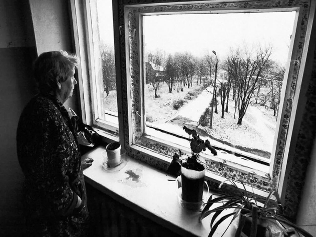 Тоскующая по дому