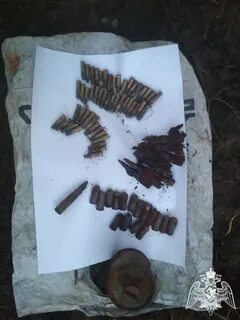 Находки мурманск