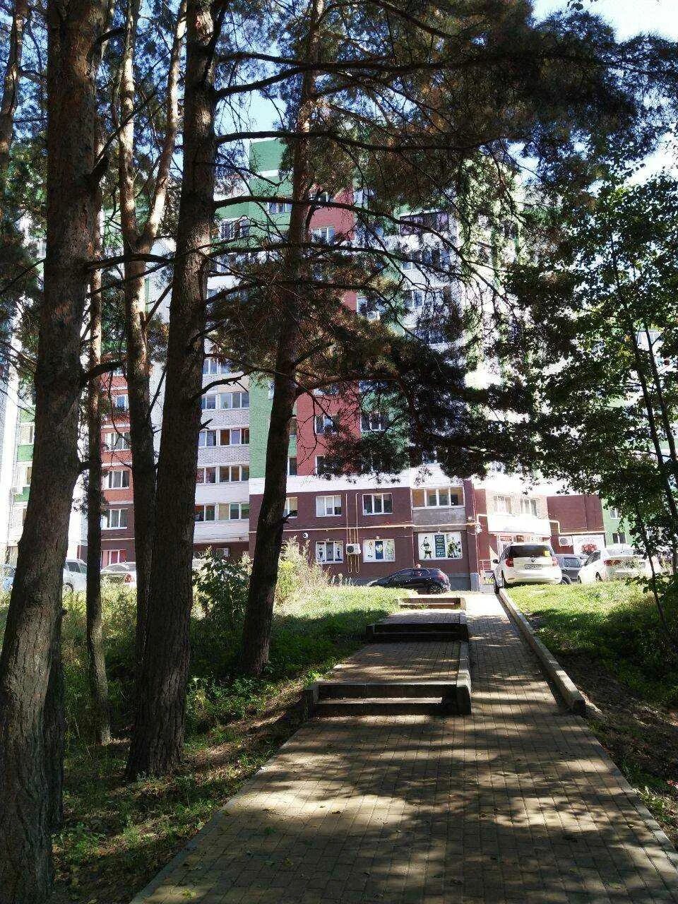 Салон красоты сосновый бор брянск