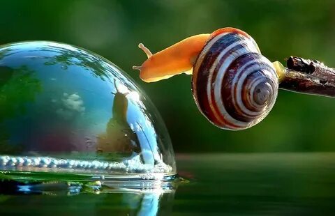 Beautiful slow