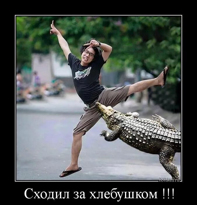Актрисы ералаша. Ничего себе сходил за хлебушком. Демотиватор крокодил геннадий. Сходил за хлебушком прикол. Сходил за хлебушком.