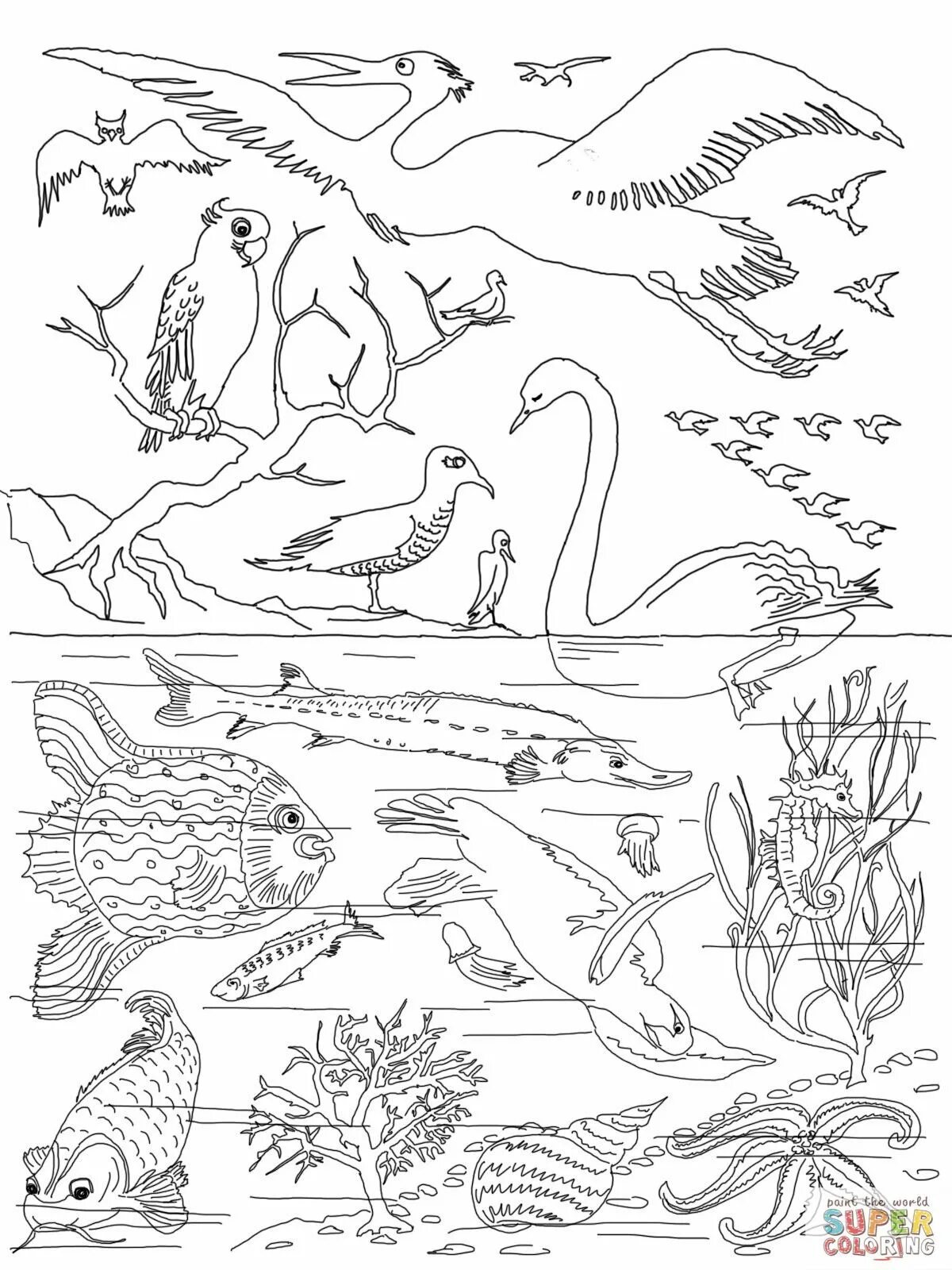 Раскраска группы животных. Раскраска животный мир. Раскраска. Мир животных. Раскраска птицы и рыбы. Раскраски животный мир для детей.