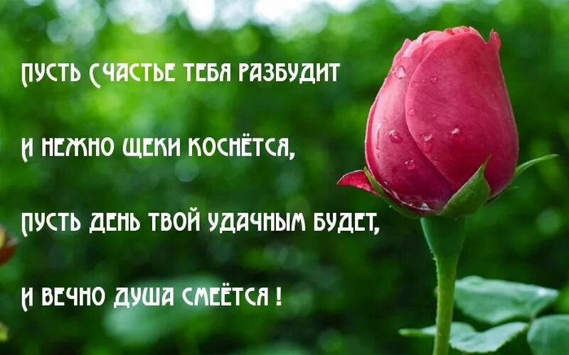 Пусть будет все чего душа желает. Пожелания со смыслом. Цитаты с пожеланиями счастья. Пусть тебя окружает счастье. Пусть у вас всегда все будет хорошо.