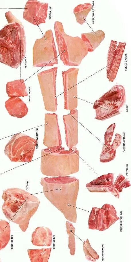 Свинья шея где находится. Разруб туши свиньи. Разруб свинины лопатка. Свинина разруб части.