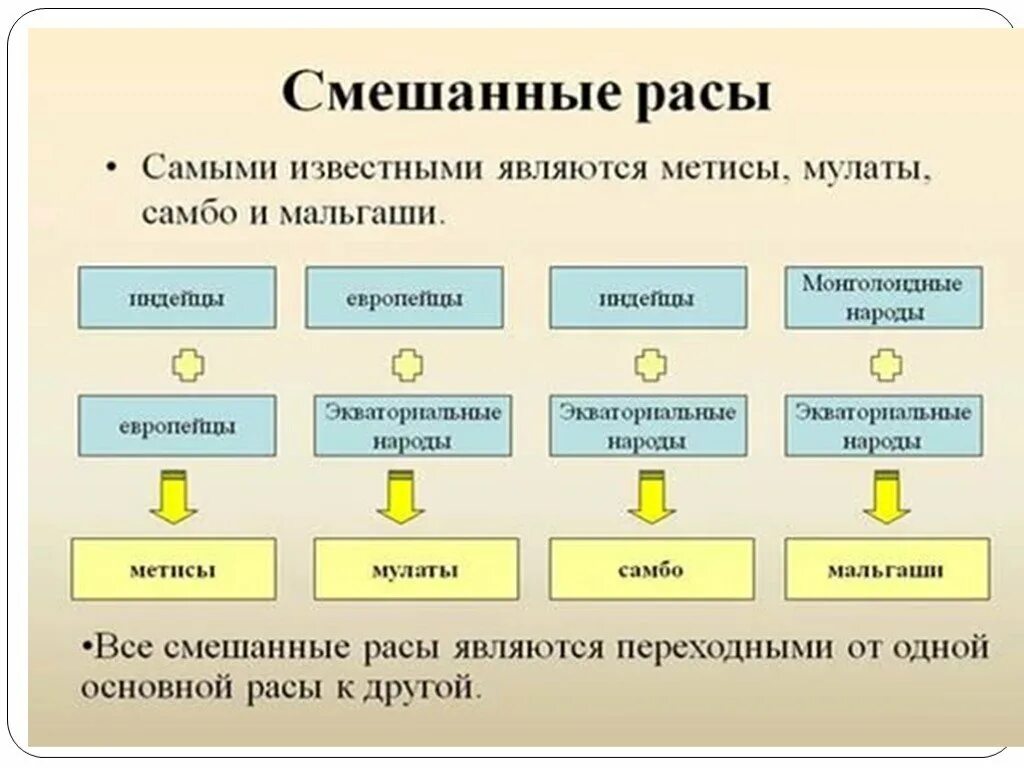 Расы человека кратко