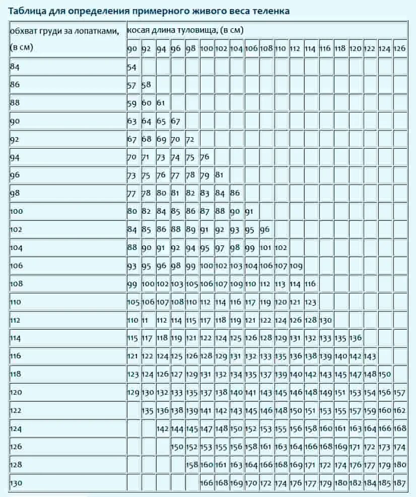 Таблица свиней живым весом. Таблица обхват груди крупного рогатого скота. Таблица определения живого веса крупного рогатого скота. Таблица для определения веса веса Бычков. Таблица измерения поросят живым весом.