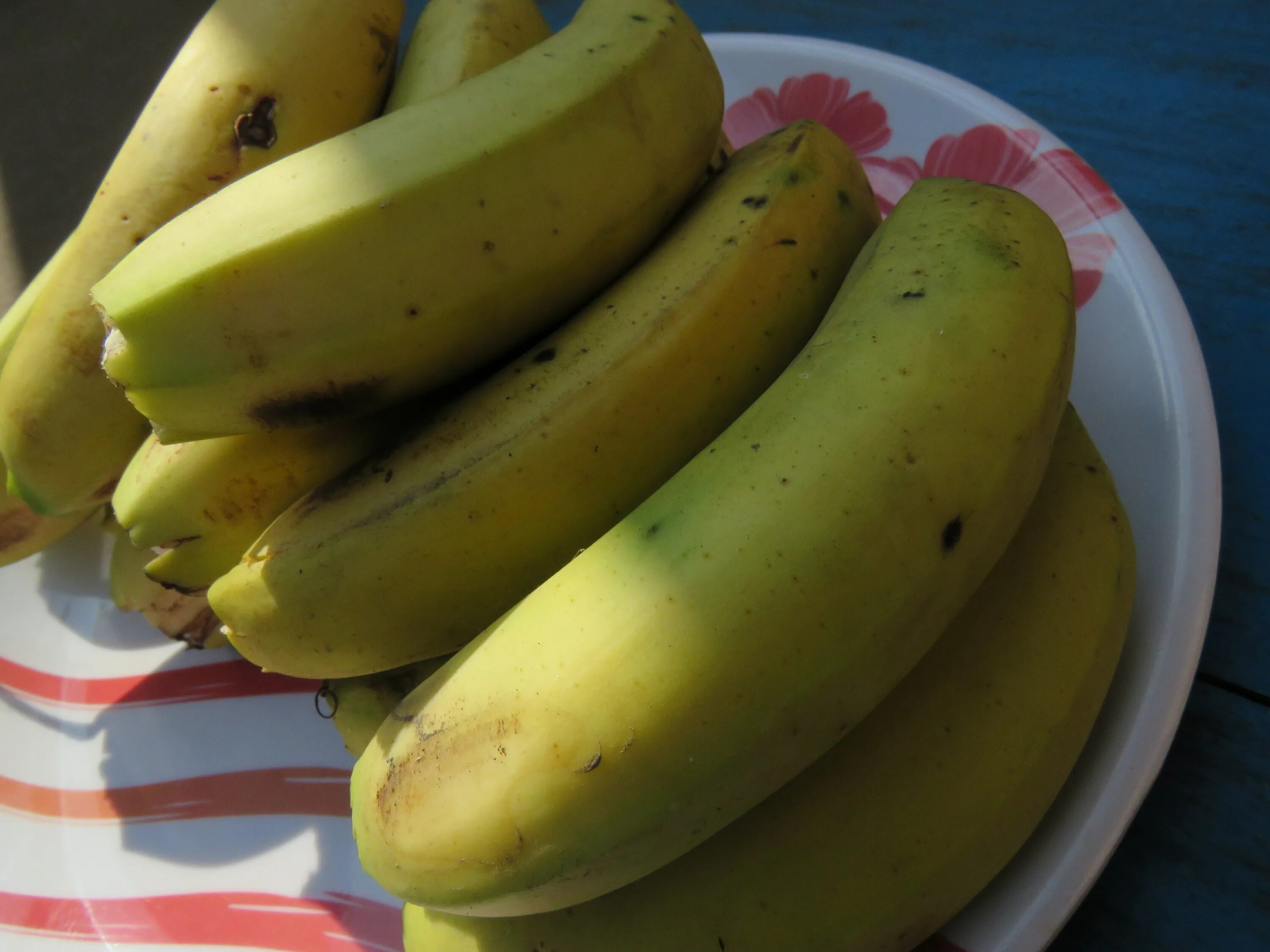 Банан. Вкусный банан. Самые вкусные бананы. Банан оригинальный. Цветок банана как приготовить