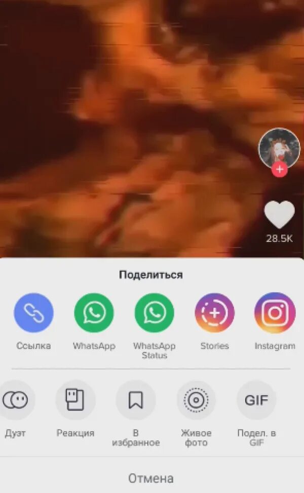 Установить тик ток андроид видео. Как установить живые обои из тик тока. как установить живые обои на андроид из тик тока. как поставить живые обои на андроид. как установить живые обои на айфон из тик тока.