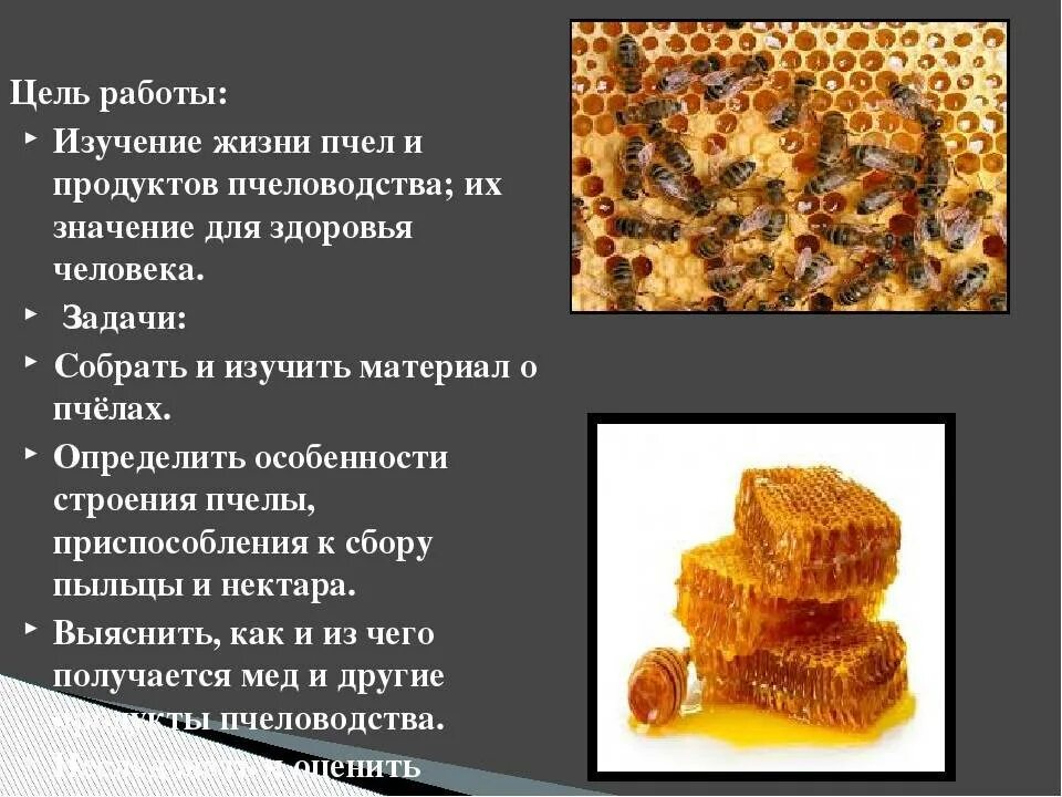 Факты о пчелах. Доклад продукты пчеловодства. Цель и задачи пчеловодства. Актуальность проекта про пчел.