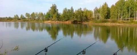 Тихая заводь платная рыбалка