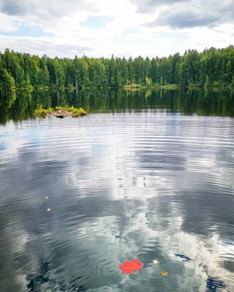 Озеро шайтан кировской. Озеро шайтан Кировской области фонтаны. Озеро шайтан плавающие острова. Озеро шайтан Уржумский район. Озеро шайтан фонтан.