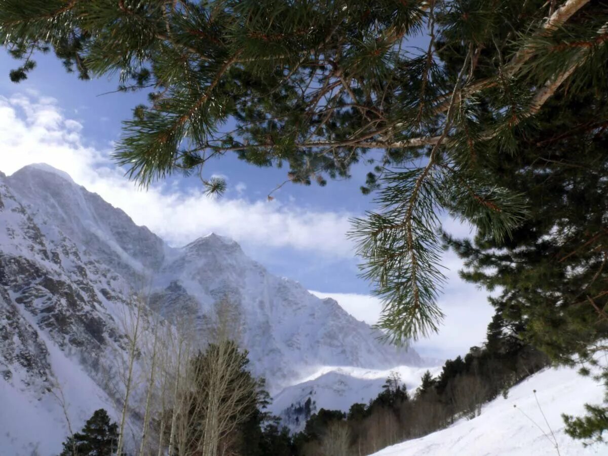 Терсколе приэльбрусье зимой. Поляна азау чегет. Гора чегет приэльбрусье. Долина нарзанов терскол зимой. Горы приэльбрусья зимой.