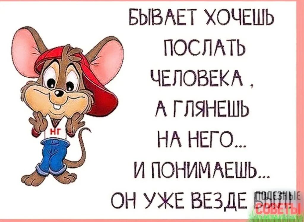 Бывает хочешь. Прикольные фразы. смешные цитаты. бывает хочешь послать человека а глянешь на него. бывает хочешь послать человека.