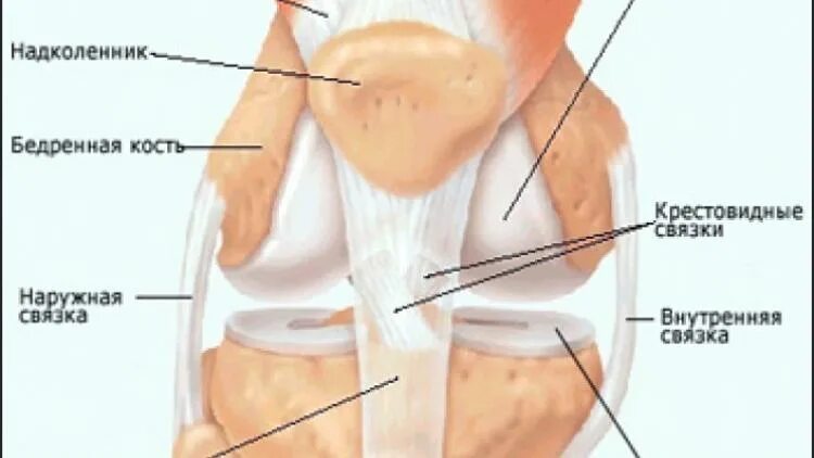 Болят суставы слева. Болят суставы слева. Боль ниже коленной чашечки. Боль в спине справа. Боль под коленным суставом.