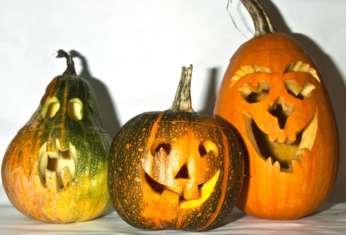 тыква (плод). язык тыкв. пампкин. тыква. креативная тыква.