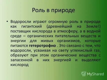 Какую роль играют водоросли