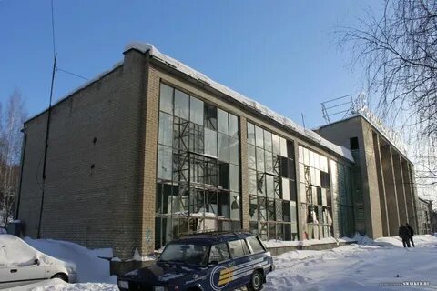 Кедр новоуральск