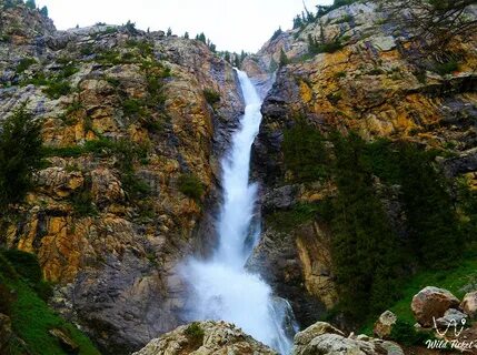 Гравитациялық жағымсыз секс