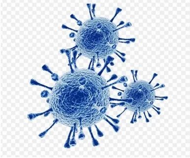 Point virus