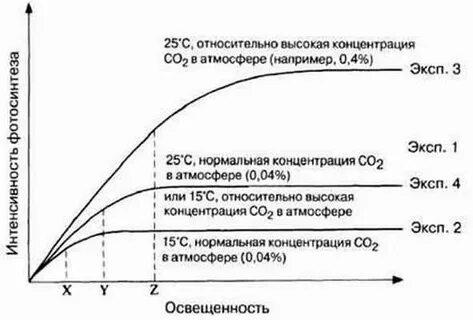 Факторы ограничивающие жизнь в атмосфере