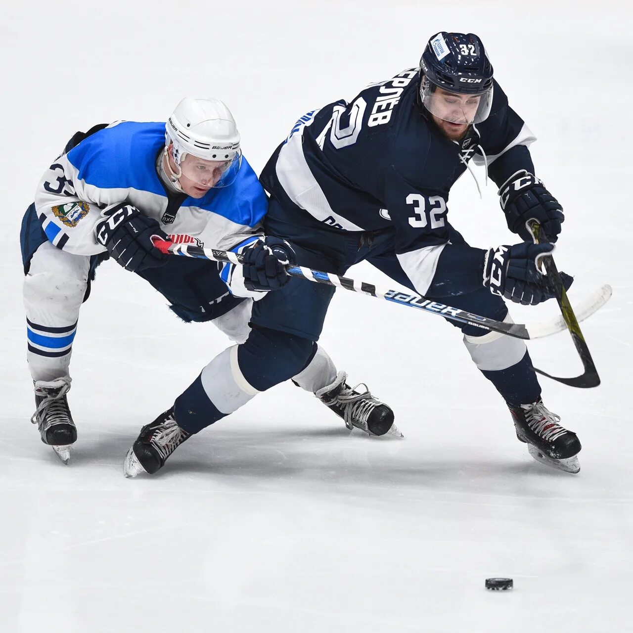 динамо спб вхл. зауралье динамо спб прогноз. зауралье динамо спб прогноз. зауралье динамо спб прогноз. динамо спб вхл.