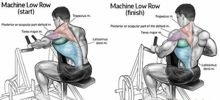 Упражнение Low Row. Low Row тренажер на спину. Упражнения на тренажере Row. Machine Chest supported Row. Row user row user