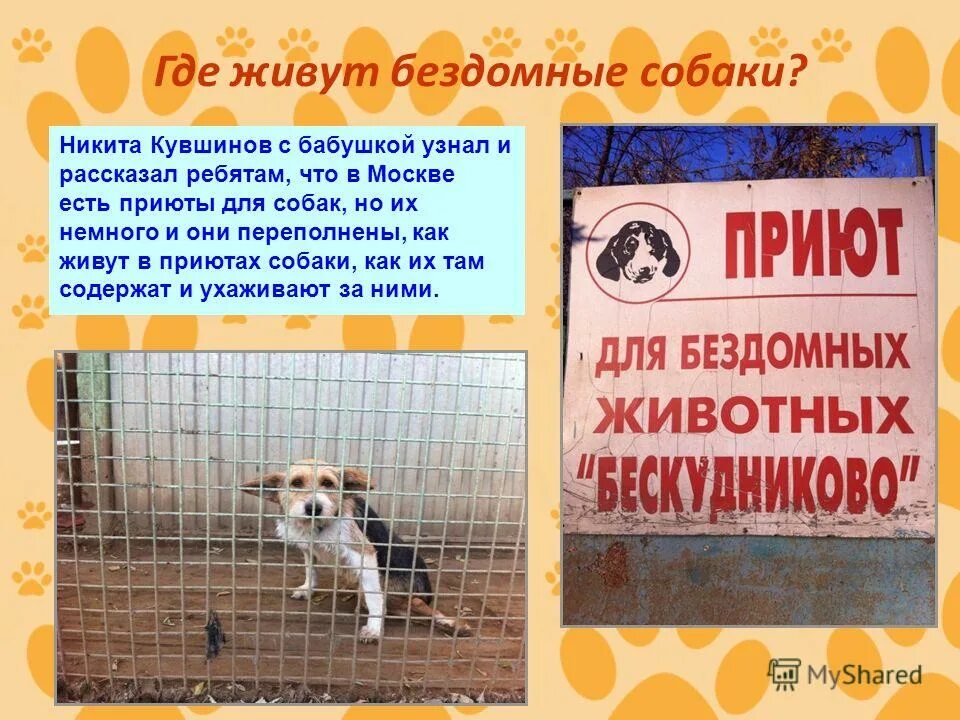 Где жила собака. Домики животных для детей. Иллюстрация собака со щенками. Сюжетная картина собака со щенятами. Домик для домашней собаки.