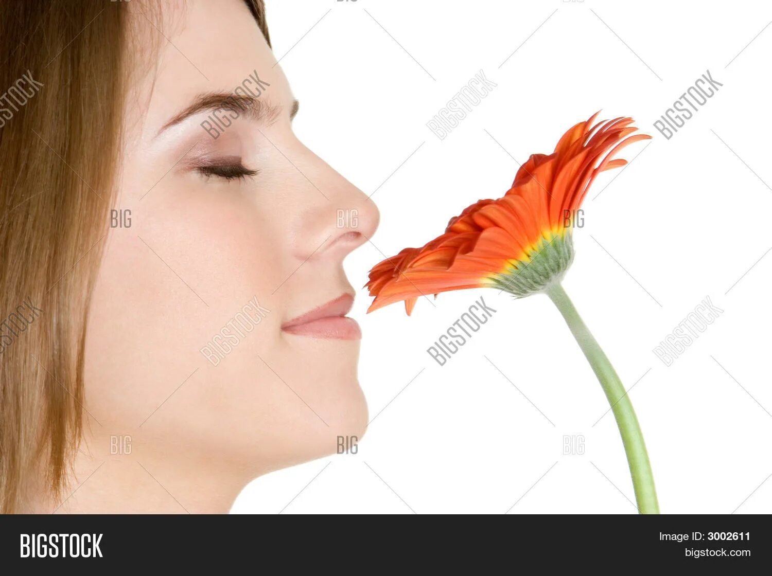 Why you smell this flower