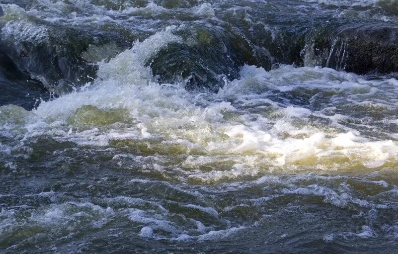 Силен вода. Река Бембоя Ленинградская. В течении реки. Сильное течение. Течение воды.