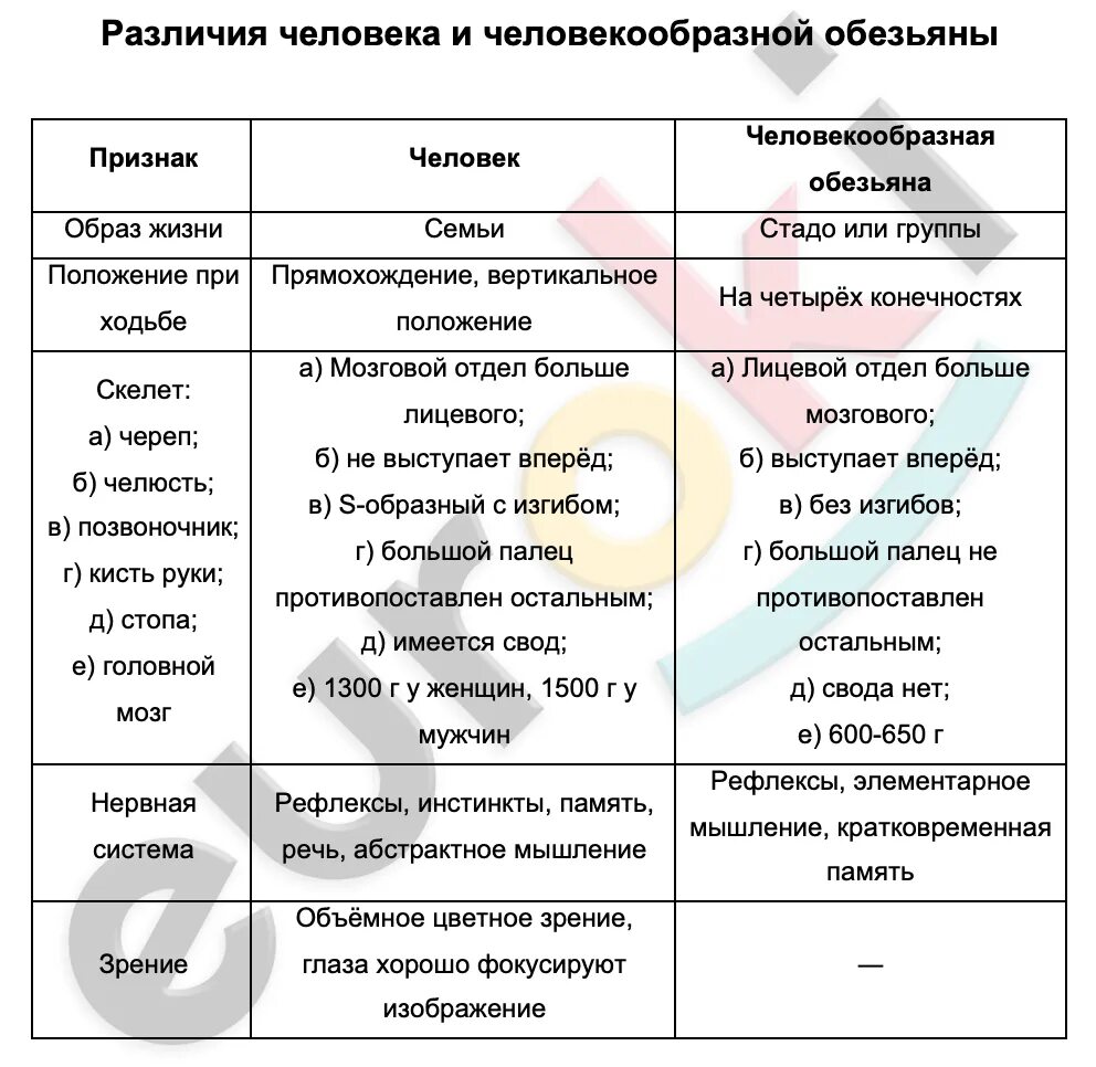 Черты сходства и различия человека и обезьяны. Образ жизни человека и человекообразных обезьян таблица. отличие человека от человекообразных обезьян таблица. различия человека и человекообразных обезьян. различия в строении человека и человекообразных обезьян таблица.