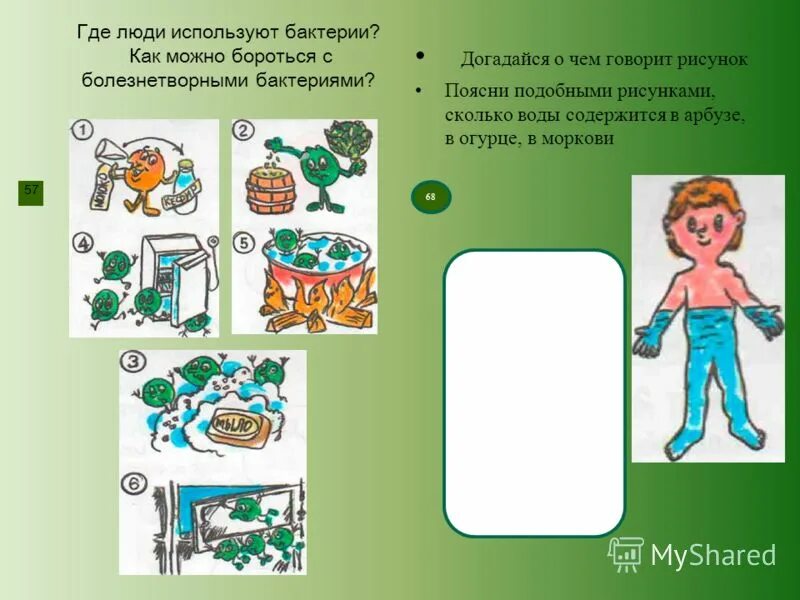 Сколько раз люди использовали. Где человек использует бактерии. сколько воды содержится. сколько воды содержится в огурце. сколько воды содержится в арбузе.