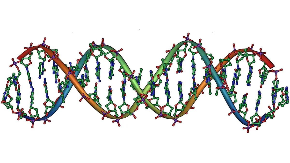 Днк какая форма. Спираль ДНК лента Мебиуса. Секвенирование РНК. ДНК генетика биология. Цепочка ДНК коронавируса.