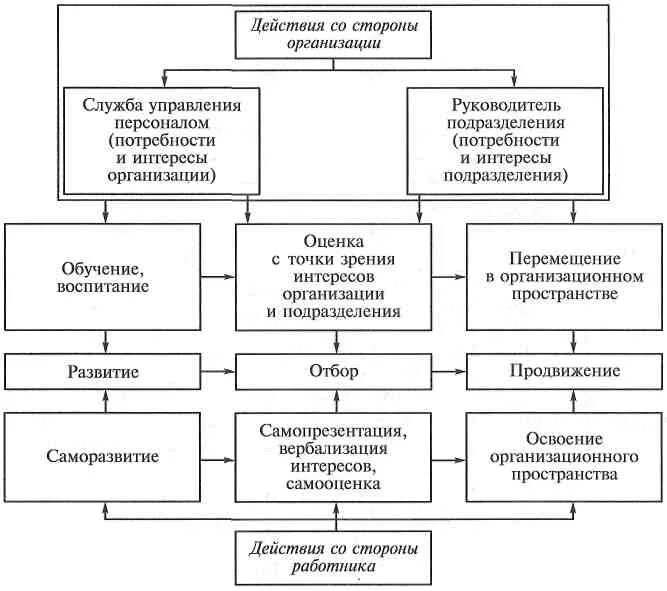 Элементы управления карьерой. Схема управления деловой карьерой работников организации. схема управления карьерой персонала организации. модель организации управления карьерой персонала в организации. процесс управления карьерой схема.