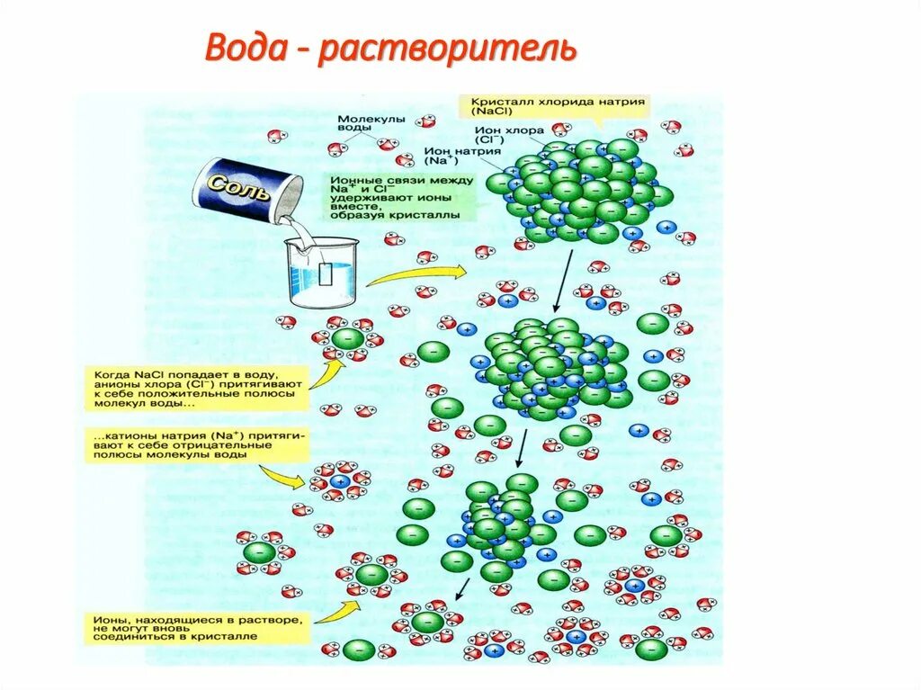 Химический состав воды. Химический состав жидкости. Связь химического состава воды со здоровьем. Химический состав воды картинка. Вода биология 10