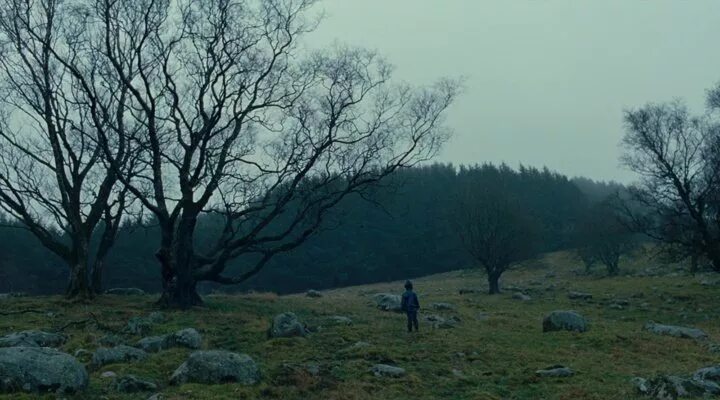 долина теней 2017 финал. долина теней 2023. Sr_shadow valley. долиной смертной тени. долина теней / skyggenes dal (норвегия, 2017).