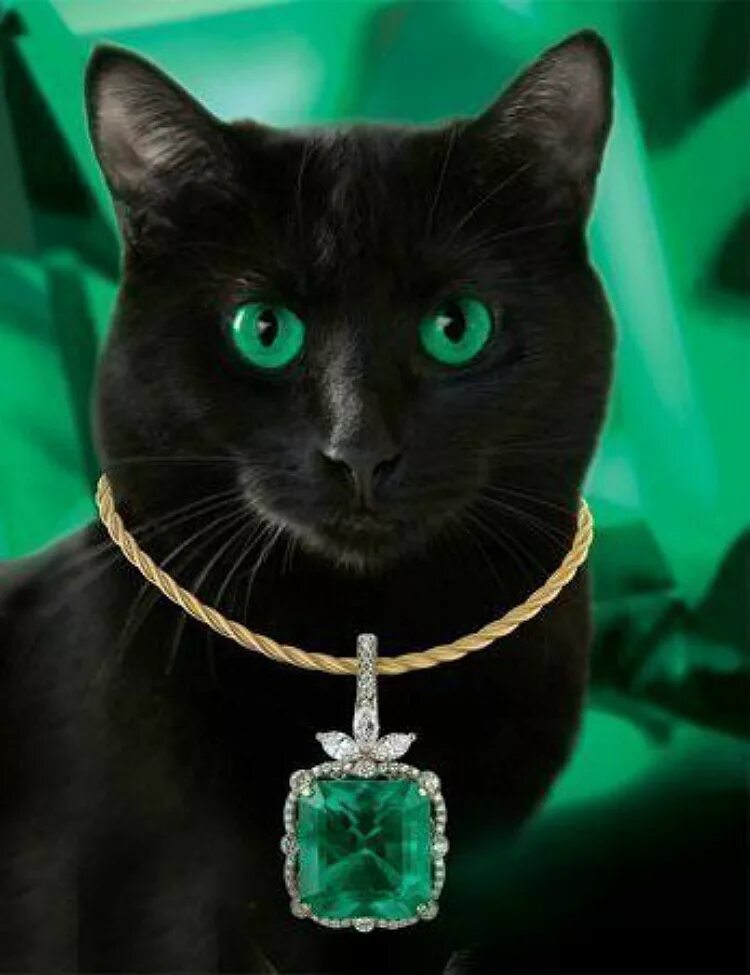 Emerald chat