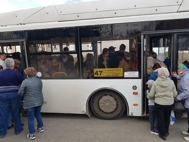 Переполненные автобусы в Крыму. Давка в транспорте. Переполненный транспорт. Переполненный автобус вечером.