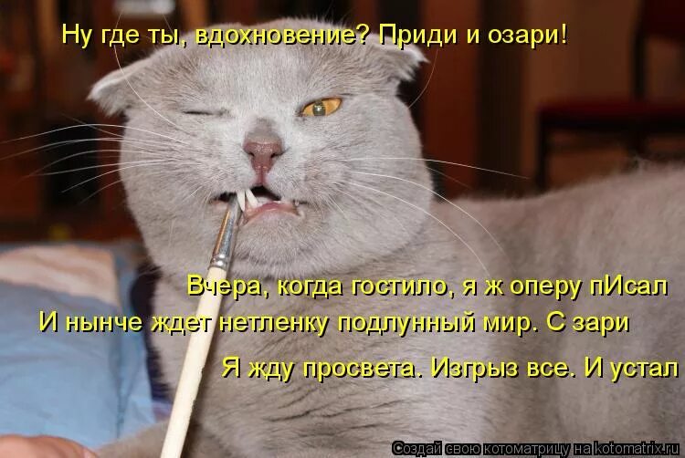 ну где берут. где ты это взял. где ты моя любимая. жрать охота. вдохновение прикол.