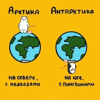 арктика и антарктика в чем разница