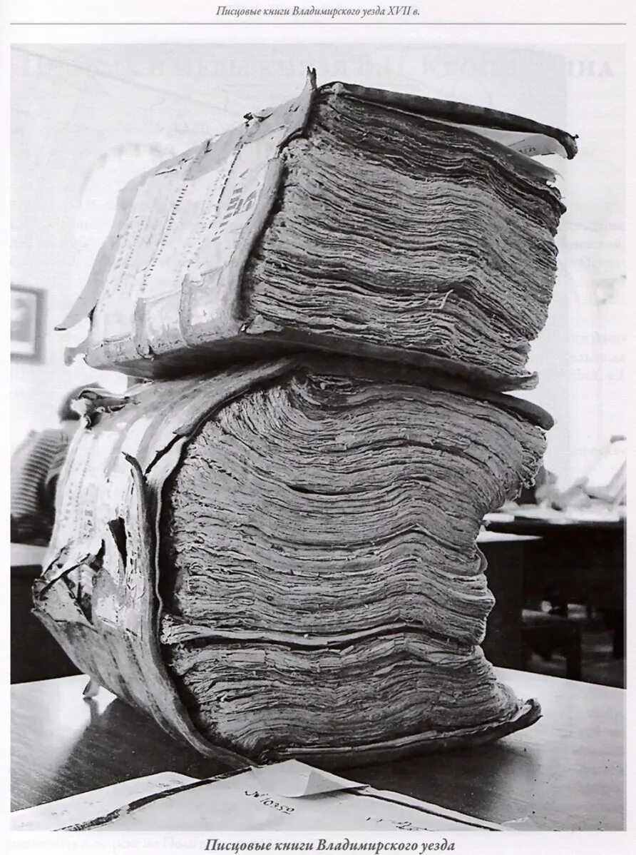 писцовые книги на руси. писцовые и переписные книги. писцовой книге. писцовые книги 17 века. новгородская писцовая книга.