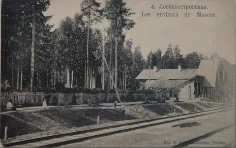 Лосиноостровская ивантеевка